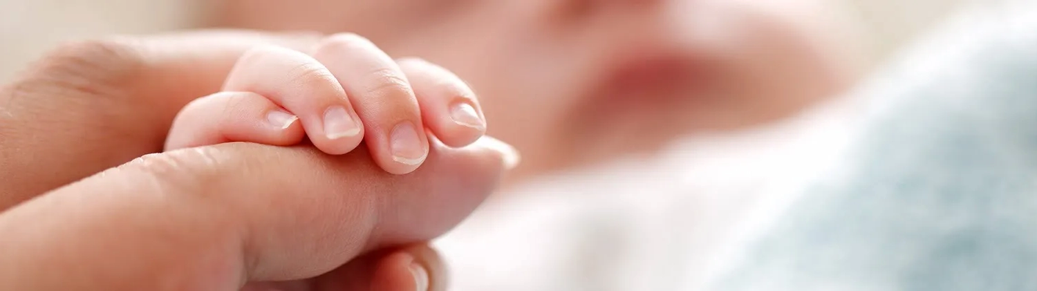 Συστατικά Bambo Nature