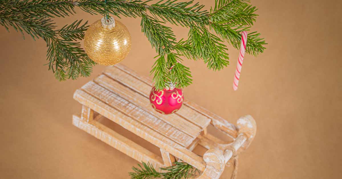Bambo-Nature-Happy-Holidays-Christmas-facts