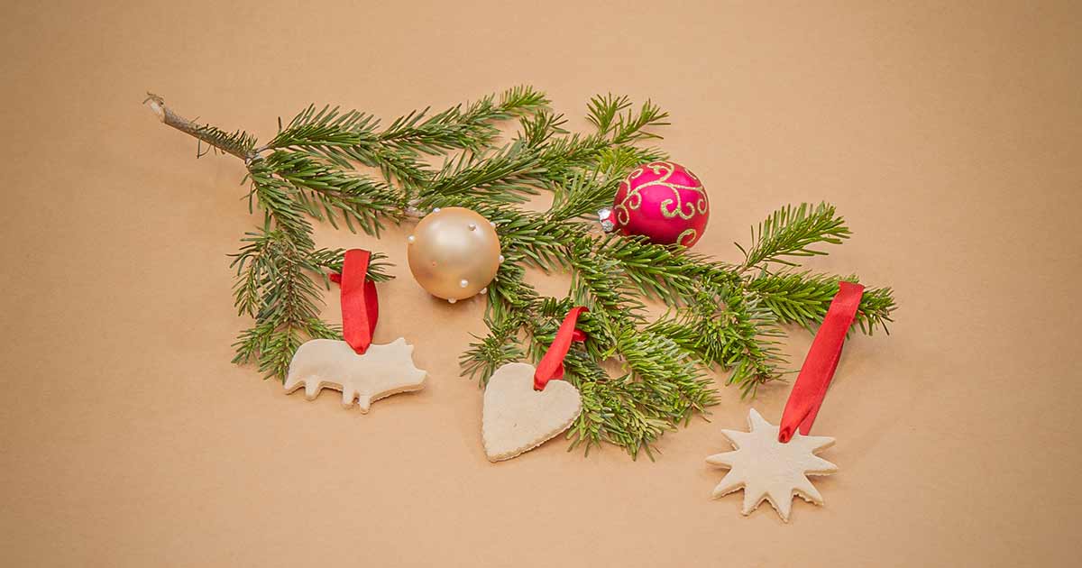 Bambo-Nature-Happy-Holidays-DIY-salt-dough-ornaments-11-2022-1200x630