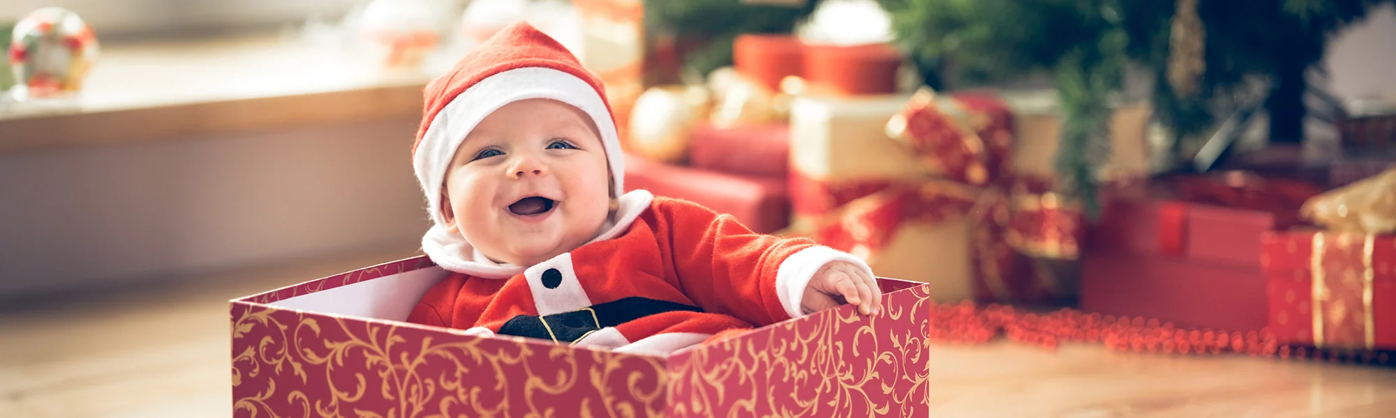 Bambo-Nature-Happy-Holidays-2024-Hero-Banner